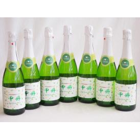 7本セット(山梨県産100％勝沼仕込　甲州スパークリングワイン やや辛口) 720ml×7本