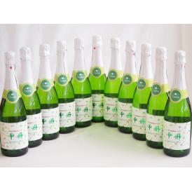 11本セット(山梨県産100％勝沼仕込　甲州スパークリングワイン やや辛口) 720ml×11