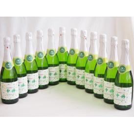 12本セット(山梨県産100％勝沼仕込　甲州スパークリングワイン やや辛口) 720ml×12
