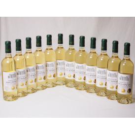 12本セット(フランストリプル金賞受賞白ワイン サン・ロマン辛口) 750ml×12本