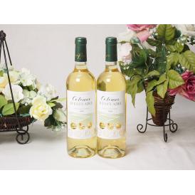 2本セット(フランストリプル金賞受賞白ワイン ラ･ロッシュ ガイア 辛口) 750ml×2本