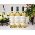 3本セット(フランストリプル金賞受賞白ワイン ラ･ロッシュ ガイア 辛口) 750ml×3本
