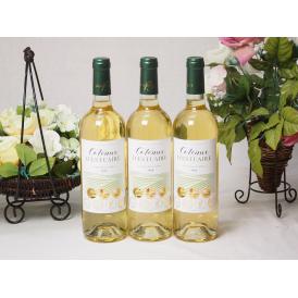 3本セット(フランストリプル金賞受賞白ワイン ラ･ロッシュ ガイア 辛口) 750ml×3本