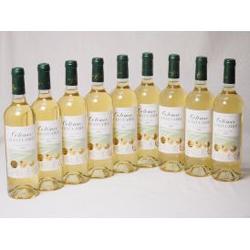 9本セット(フランストリプル金賞受賞白ワイン ラ･ロッシュ ガイア 辛口) 750ml×9本