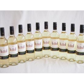10本セット(クラシック ソーヴィニヨン・ブラン白ワイン (チリ)) 750ml×10本
