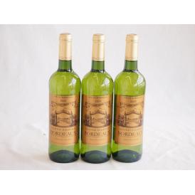 3本セット(フランス金賞受賞白ワイン シャトー ガロシェ 辛口) 750ml×3本