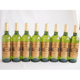 8本セット(フランス金賞受賞白ワイン シャトー ガロシェ 辛口) 750ml×8本