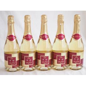 5本セット(山梨県産100％サントネージュ　甲州スパークリングワイン やや甘口) 720ml×5本