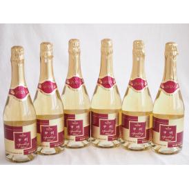 6本セット(山梨県産100％サントネージュ　甲州スパークリングワイン やや甘口) 720ml×6本