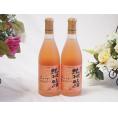 2本セット(北海道ワイン オレンジワイン 旅路 やや辛口) 720ml×2本