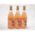 3本セット(北海道ワイン オレンジワイン 旅路 やや辛口) 720ml×3本