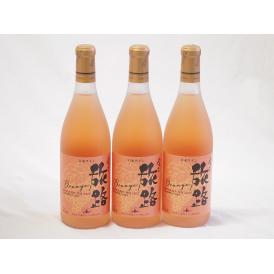 3本セット(北海道ワイン オレンジワイン 旅路 やや辛口) 720ml×3本