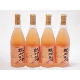 4本セット(北海道ワイン オレンジワイン 旅路 やや辛口) 720ml×4本