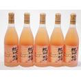 5本セット(北海道ワイン オレンジワイン 旅路 やや辛口) 720ml×5本