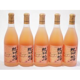 5本セット(北海道ワイン オレンジワイン 旅路 やや辛口) 720ml×5本