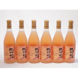6本セット(北海道ワイン オレンジワイン 旅路 やや辛口) 720ml×6本