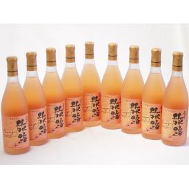 9本セット(北海道ワイン オレンジワイン 旅路 やや辛口) 720ml×9本