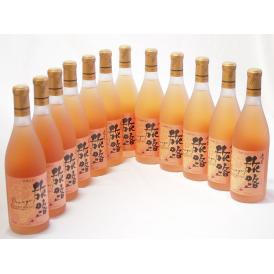 12本セット(北海道ワイン オレンジワイン 旅路 やや辛口) 720ml×12本