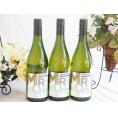 3本セット(フランス金賞白ワイン セニャー･ドゥ･ミラモン) 750ml×3本