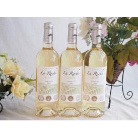 3本セット(フランストリプル金賞白ワイン セラ･ロッシュ ガイア) 750ml×3本