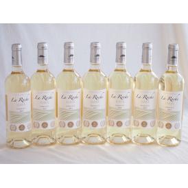 7本セット(フランストリプル金賞白ワイン セラ･ロッシュ ガイア) 750ml×7本