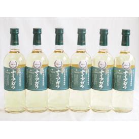 6本セット(長野県産葡萄ナイアガラ 白ワイン) 720ml×6本