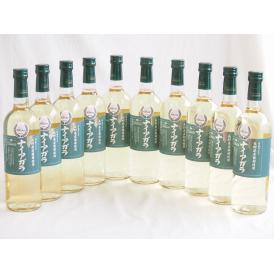 10本セット(長野県産葡萄ナイアガラ 白ワイン) 720ml×10本