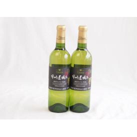 2本セット( 甲州遅摘み 完熟甘口 白ワイン（山梨県)) 720ml×2本