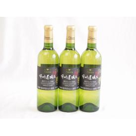 3本セット( 甲州遅摘み 完熟甘口 白ワイン（山梨県)) 720ml×3本