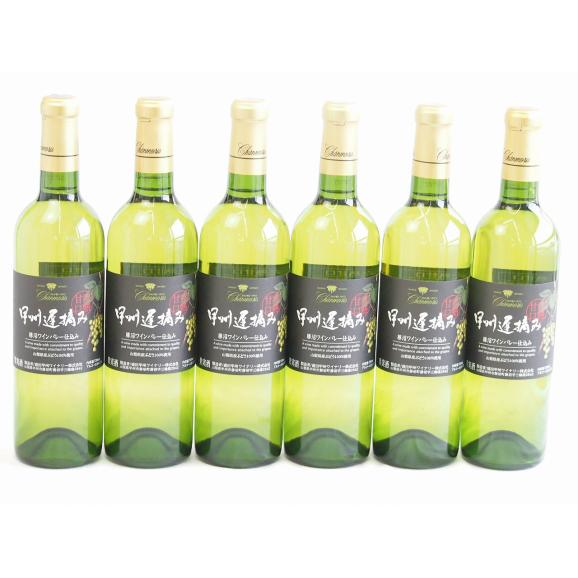 6本セット( 甲州遅摘み 完熟甘口 白ワイン（山梨県)) 720ml×6本｜贈り物本舗じざけやの通販・お取り寄せなら【ぐるすぐり】