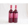 2本セット(山梨県産葡萄100％マスカットベーリーA ライトボディ) 720ml×2本