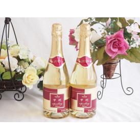 2本セット(山梨県産100％サントネージュ　甲州スパークリングワイン やや甘口) 720ml×2本