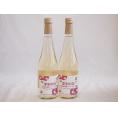 2本セット(果実の泡シードル 北海道林檎スパークリング(やや甘口)) 500ml×2本