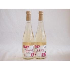 2本セット(果実の泡シードル 北海道林檎スパークリング(やや甘口)) 500ml×2本