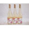 3本セット(果実の泡シードル 北海道林檎スパークリング(やや甘口)) 500ml×3本