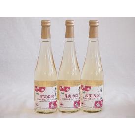 3本セット(果実の泡シードル 北海道林檎スパークリング(やや甘口)) 500ml×3本
