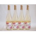 4本セット(果実の泡シードル 北海道林檎スパークリング(やや甘口)) 500ml×4本