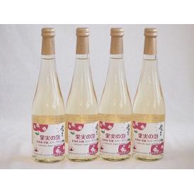 4本セット(果実の泡シードル 北海道林檎スパークリング(やや甘口)) 500ml×4本