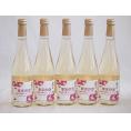 5本セット(果実の泡シードル 北海道林檎スパークリング(やや甘口)) 500ml×5本