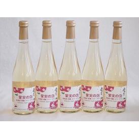 5本セット(果実の泡シードル 北海道林檎スパークリング(やや甘口)) 500ml×5本