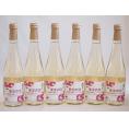 6本セット(果実の泡シードル 北海道林檎スパークリング(やや甘口)) 500ml×6本