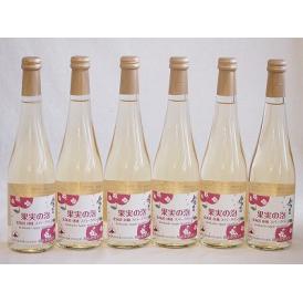 6本セット(果実の泡シードル 北海道林檎スパークリング(やや甘口)) 500ml×6本