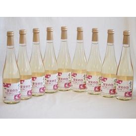 9本セット(果実の泡シードル 北海道林檎スパークリング(やや甘口)) 500ml×9本