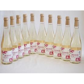 10本セット(果実の泡シードル 北海道林檎スパークリング(やや甘口)) 500ml×10本