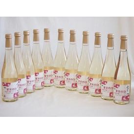 11本セット(果実の泡シードル 北海道林檎スパークリング(やや甘口)) 500ml×11本