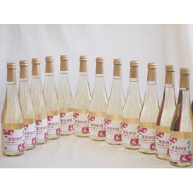 12本セット(果実の泡シードル 北海道林檎スパークリング(やや甘口)) 500ml×12本