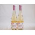 2本セット(果実の泡シードル 北海道梅スパークリング(やや甘口)) 500ml×2本