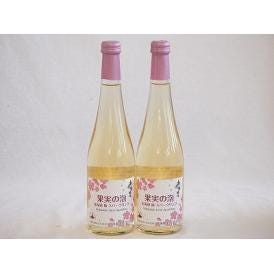 2本セット(果実の泡シードル 北海道梅スパークリング(やや甘口)) 500ml×2本