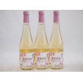 3本セット(果実の泡シードル 北海道梅スパークリング(やや甘口)) 500ml×3本