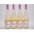 4本セット(果実の泡シードル 北海道梅スパークリング(やや甘口)) 500ml×4本
